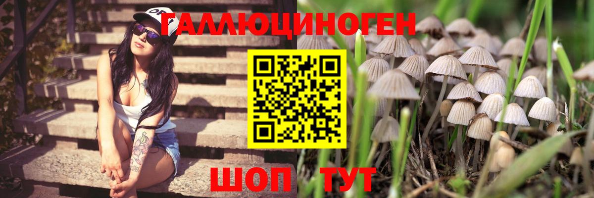 Канабис  ГАШИШ  Меф МЯУ МЯУ   Вход с VPN  Кокаин  Нерюнгри  ГАШ 