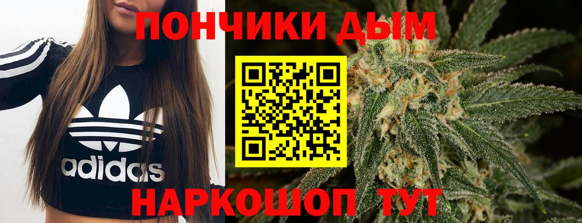 Бошки марихуана планчик  Вход с VPN  Бошки Шишки марихуана  Нерюнгри  Конопля Bruce Banner  Конопля индика 